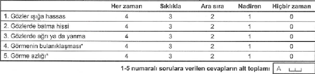 Şekil 3: OSDİ Skorlama Sistemi Anketi  38