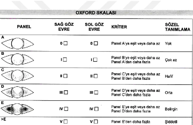 Şekil 4: Oxford Skalası  38