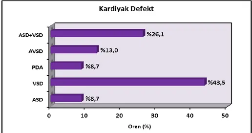 Şekil 6: Hasta grubunu kardiyak defekt tanılarının dağılımı 