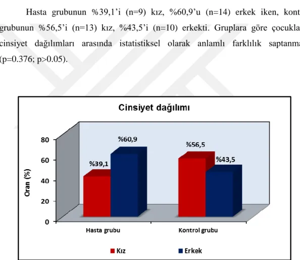 Şekil 8: Gruplara göre cinsiyet dağılımı 