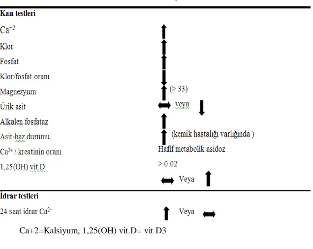 Tablo 2.1. Primer hiperparatiroidide kimyasal profil(33) 