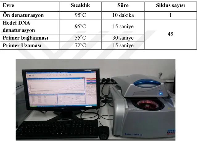 Şekil 3.5. İnönü Üniversitesi Moleküler Mikrobiyoloji Laboratuvarı’nda  kullanılan Real-time PCR cihazı 