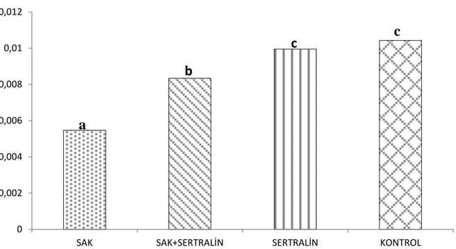 Grafik 4: Serum CAT düzeyleri, aynı harfler arasında p&lt;0.05’e göre istatiksel olarak 