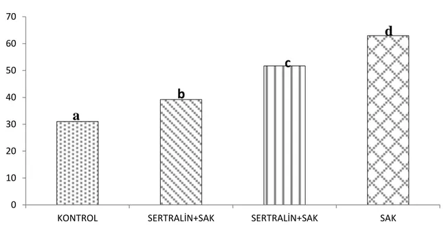 Grafik 6: Serum IL-1β düzeyleri, aynı harfler arasında p&lt;0.05’e göre istatiksel olarak 