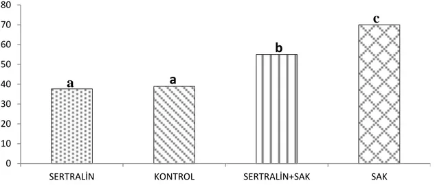 Grafik 7: Serum TNF-α düzeyleri, aynı harfler arasında p&lt;0.05’e göre istatiksel olarak 