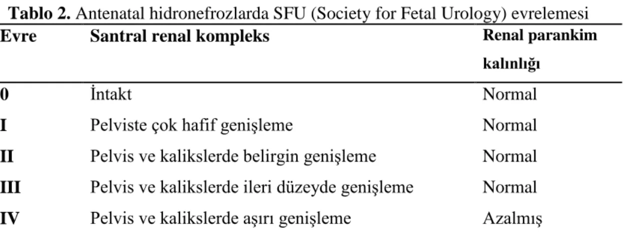 Tablo 2. Antenatal hidronefrozlarda SFU (Society for Fetal Urology) evrelemesi  Evre  Santral renal kompleks  Renal parankim 