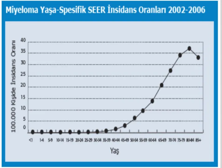 Şekil 2.  Myeloma Yaşa Spesifik SEER İnsidans Oranları 2002-2006 
