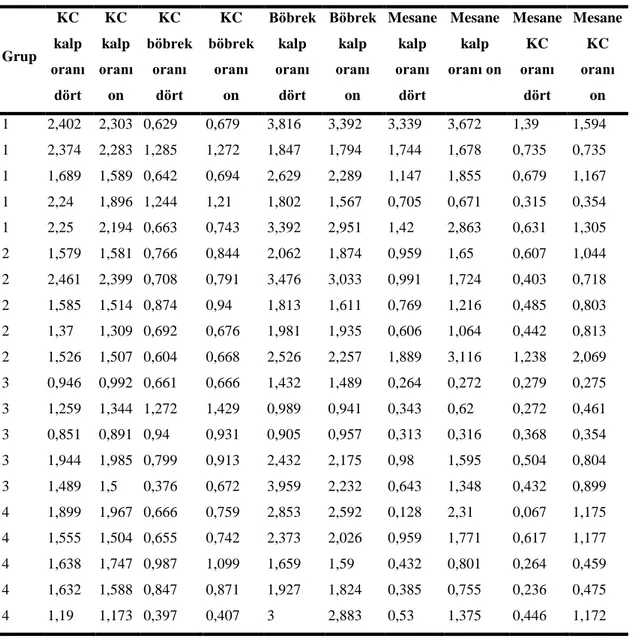 Tablo 7. Dördüncü ve 10. imajlardan hesaplanmış “KC/Kalp Oranı”, “KC/Böbrek oranı”, “Böbrek/Kalp 