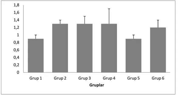 Grafik 4. Grupların ortalama INR ölçüm değerleri 