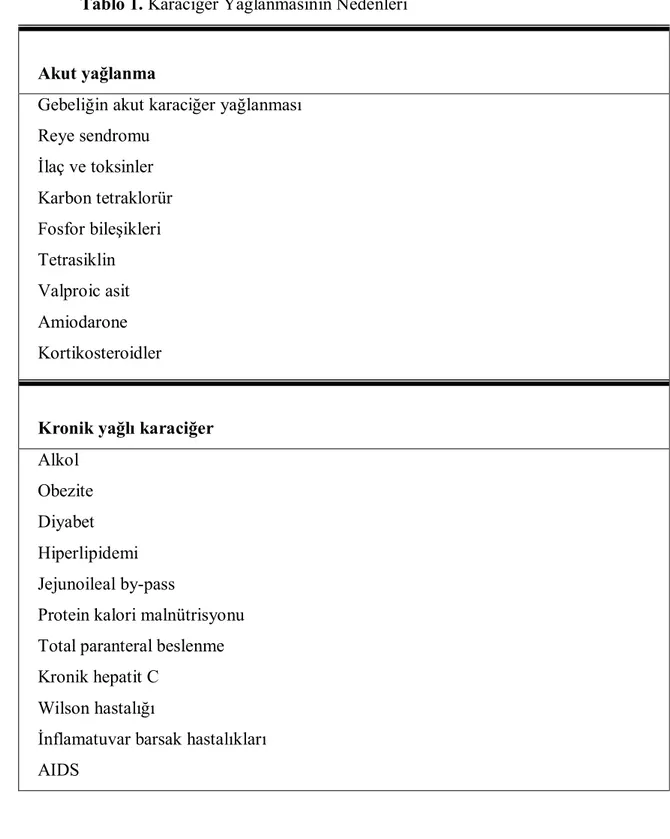 Tablo 1. Karaciğer Yağlanmasının Nedenleri 