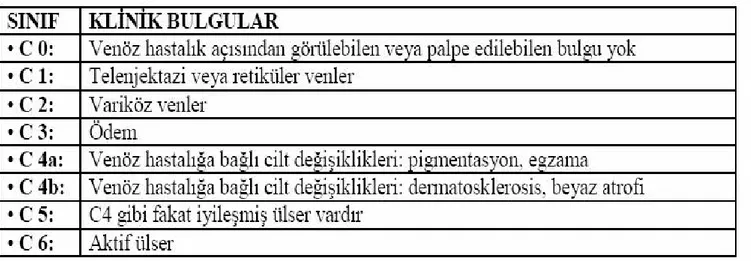 Tablo 1.2 Alt ekstremite kronik venöz hastalığı’nın klinik CEAP sınıflaması