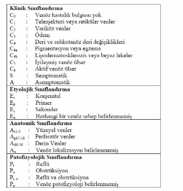 Tablo 1.3 CEAP sınıflaması (46)