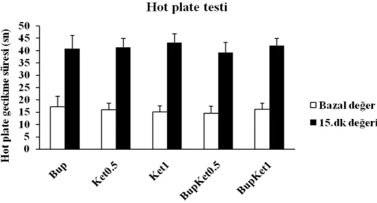 Şekil 9: Hot plate testi. Bazal değerler ve 15. dk hot plate gecikme süresi 