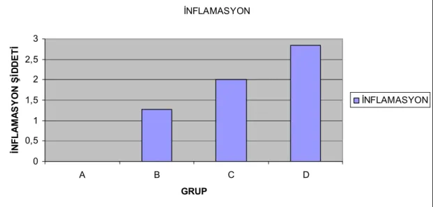 Grafik 2. A, B, C, D guruplarında inflamasyonun şiddeti arasındaki ilişki.  