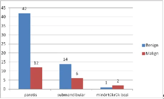 Şekil 3: Histopatolojik tanıların glandlara göre dağılımı 