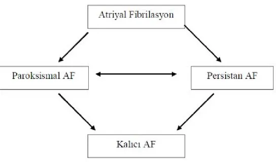 Şekil 2.9. Atriyal fibrilasyonun sınıflandırılması. 