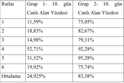 TABLO 6: Her iki gruptaki canlı alan oranının yüzdelik cinsinden hesaplanarak elde edilen                    sonuçları