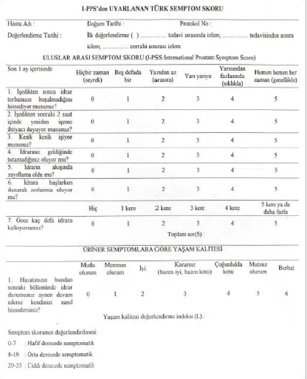 Şekil 5: Uluslararası Prostat Semptom Skoru Formu 