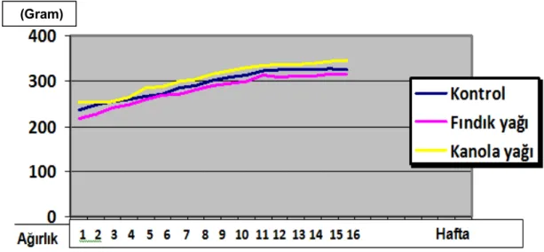 Grafik 2:  Her üç grubun 16 haftalık ortalama ağırlık artış grafiği  