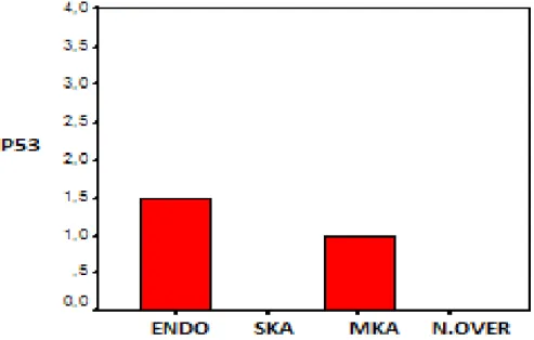 Şekil 17. p53 antikorunun gruplar arasındaki istatiksel dağılımı (Endo:  Endometrioma, SKA: Seröz kistadenom, MKA: Müsinöz kistadenom, N