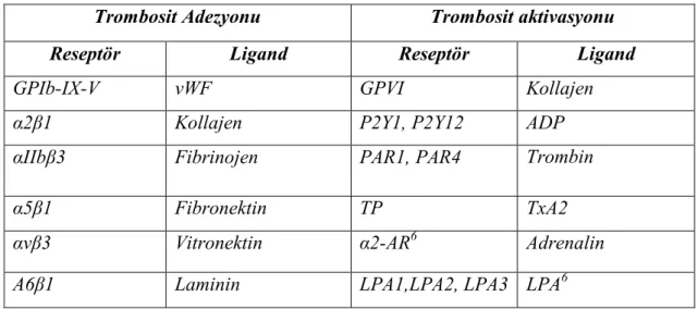 Tablo 2.1:Trombosit adezyonu ve aktivasyonunda yer alan reseptör ve ligandlar (22). 