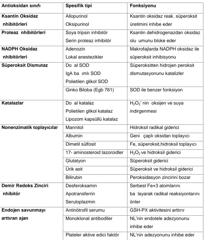 Tablo 4: Bilinen farmakolojik (eksojen) antioksidanlar (94).