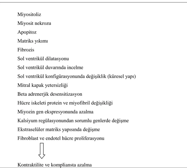 Tablo 3: Yeniden yapılanma sürecindeki değiĢiklikler 