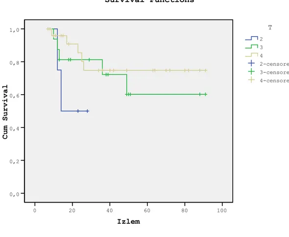 ġekil 5. Tümör T evresine göre genel sağkalım (2: T2, 3: T3. 4:T4) 