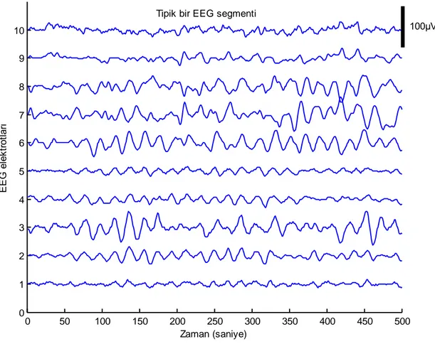 ġekil 5: Tipik bir EEG segmenti  23 050100150200 250 300 350 400 450 500012345678910Zaman (saniye)EEG elektrotları