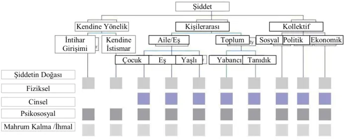 Şekil 1.Şiddetin Tipolojisi 