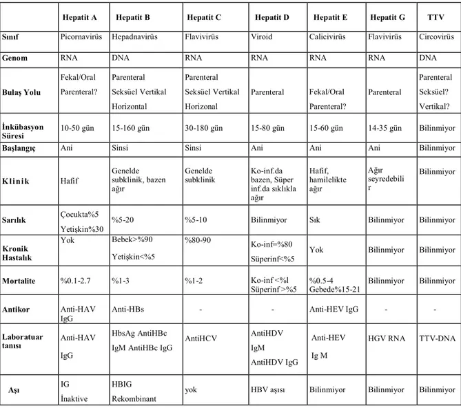 Tablo 1. Hepatit virüslerinin genel özellikleri. 