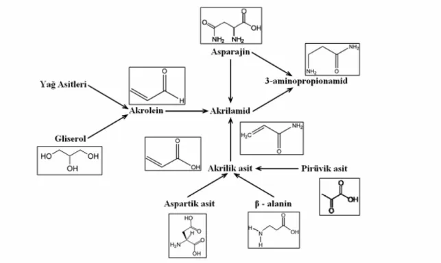 Şekil 6: Farklı moleküllerden akrilamid sentezi 