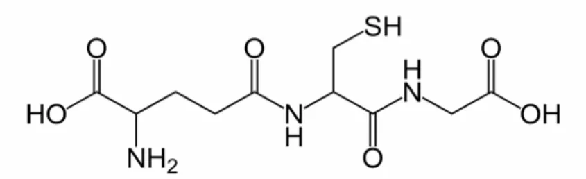 Şekil 8: Glutatyonun moleküler yapısı (97) 