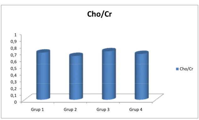 Grafik 2: Grup 1, 2, 3 ve 4’te görme merkezindeki ortalama Cho/Cr değerleri. 