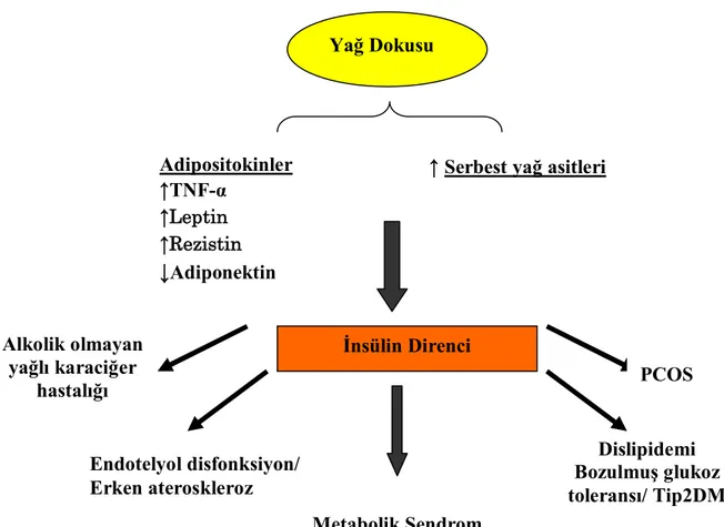 Şekil 1: Obezitede insülin direnci ve ilişkili komplikasyonlar 