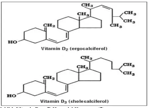 Şekil 1. Vitamin D 2  ve D 3 ’ün moleküler yapısı (5) 