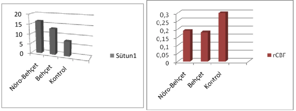 Grafik  5:  Ġnternal  kapsül  posterior  bacağında  üç  grup  arasında  MTT  ve  rCBF  parametrelerinin karĢılaĢtırmalı ortalama değerleri 