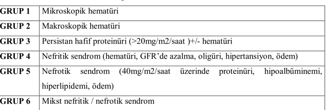 Tablo 5:HSP nefritinin Meadow’a göre sınıflandırması  GRUP 1  Mikroskopik hematüri 