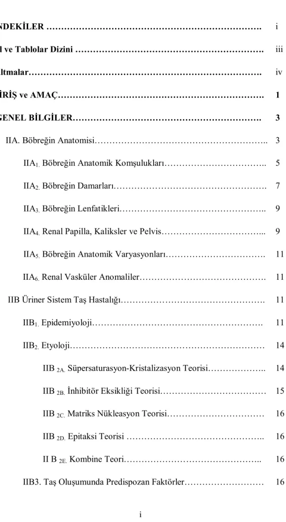 Şekil ve Tablolar Dizini ……………………………………………………….                                                                                                 