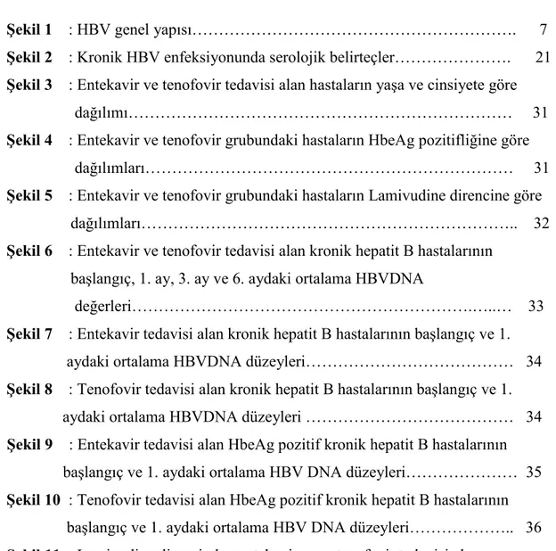 Şekil 1    : HBV genel yapısı…………………………………………………….    7  Şekil 2    : Kronik HBV enfeksiyonunda serolojik belirteçler…………………