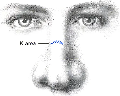 Şekil 6 – K noktası ya da Keystone noktası (13) 