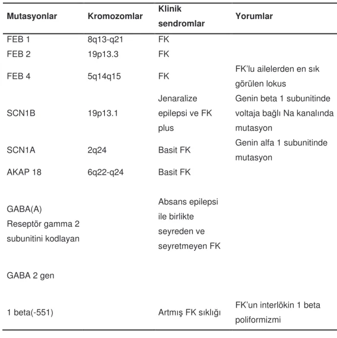 Tablo 1: Febril konvülsiyonların mutasyonları ve kromozomlarla  il kileri  Mutasyonlar  Kromozomlar  Klinik 