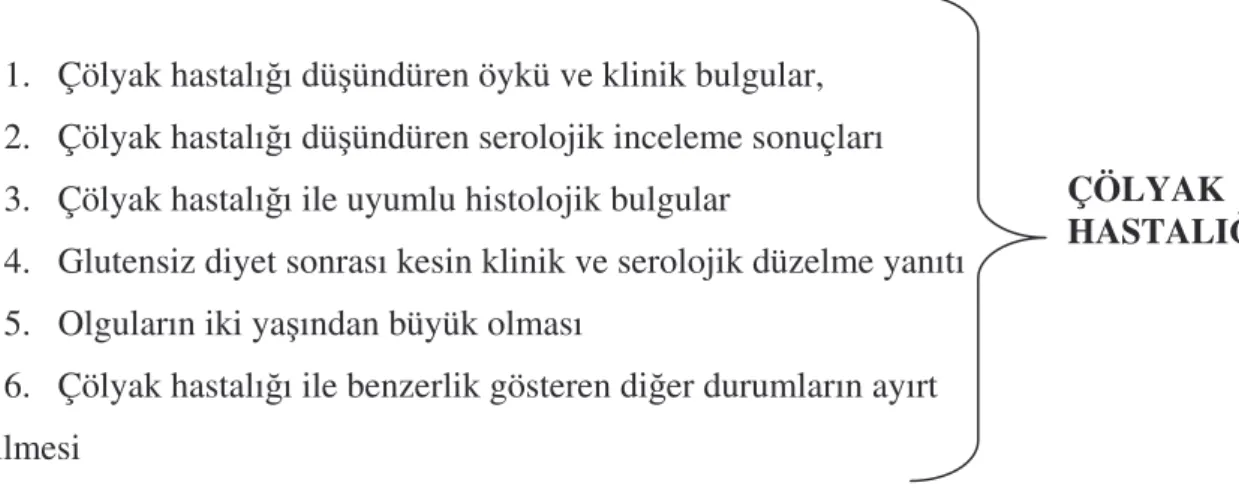 Tablo  2.4.  Çölyak  hastalı ı  tanısı  için  önerilen  ESPGHAN  düzeltilmi   kriterleri  (145)