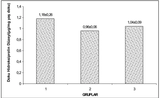 Grafik 2:   Ortalama doku hidroksiprolin düzeyleri (µg/mg yaş doku)                   