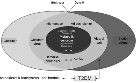 Şekil 1. Metabolik Sendromun Bileşenlerinin Şematik Gösterimi  