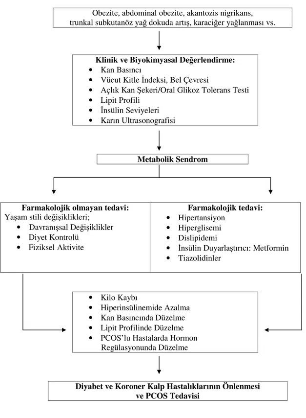 Şekil 2. Çocuklarda Metabolik Sendromun Multifaktöriyel Yönetimi 