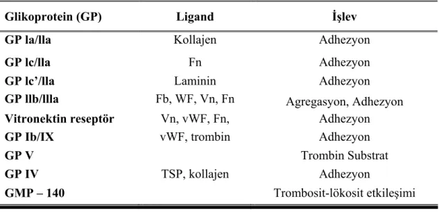 Tablo 7: Trombosit Membran Glikoproteinleri (87) 
