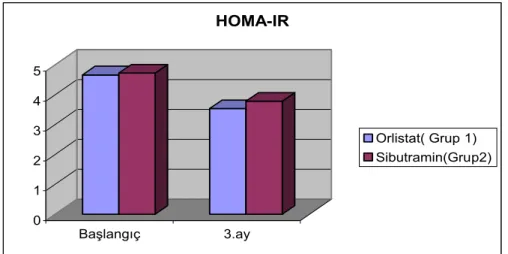 Grafik 2: Başlangıç ve 3. ay kontrol HOMA-IR değişimi