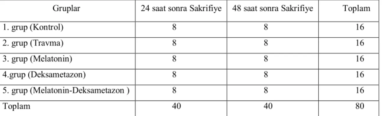 Tablo 2: Gruplara göre ratların dağılımı.