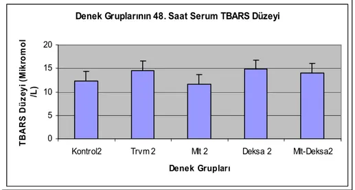 Grafik 4: 48 saat sonra sakrifiye edilen denek gruplarının tiyobarbitürik asit rekatif bileşenleri düzeyleri